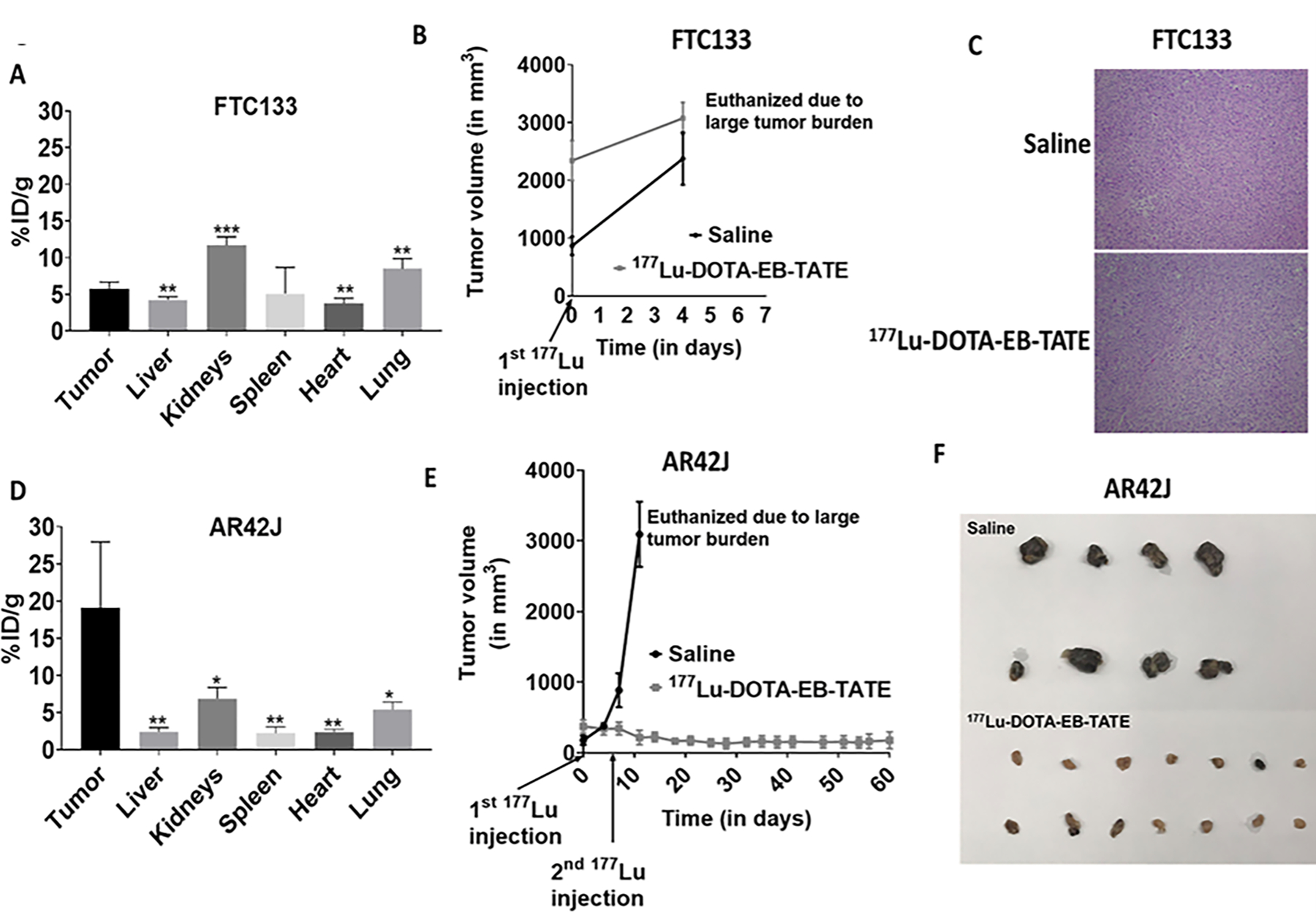 Figure 4: