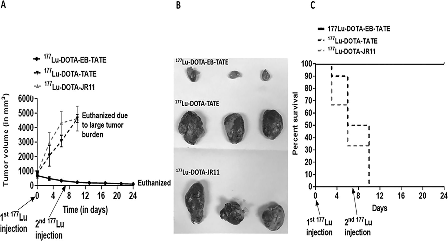 Figure 5: