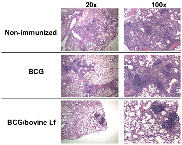 Fig. 10