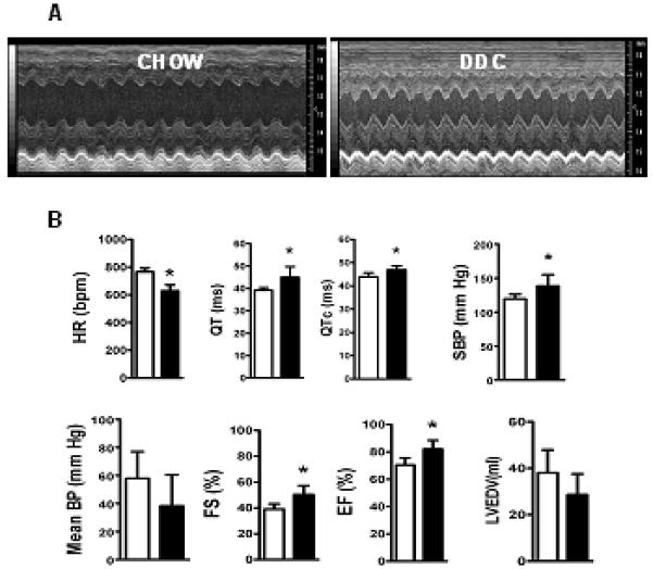 Fig.2