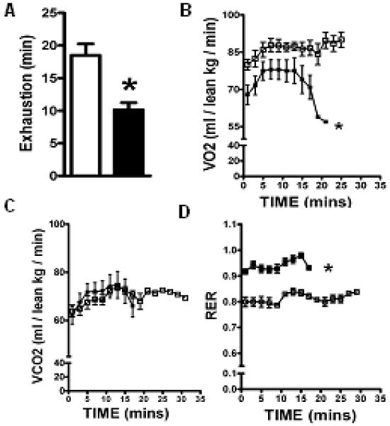 Fig.1