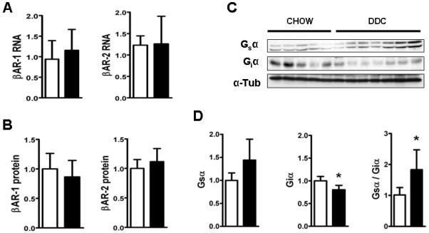 Fig.4