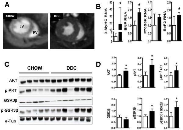 Fig.3