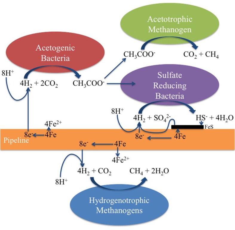 Figure 9