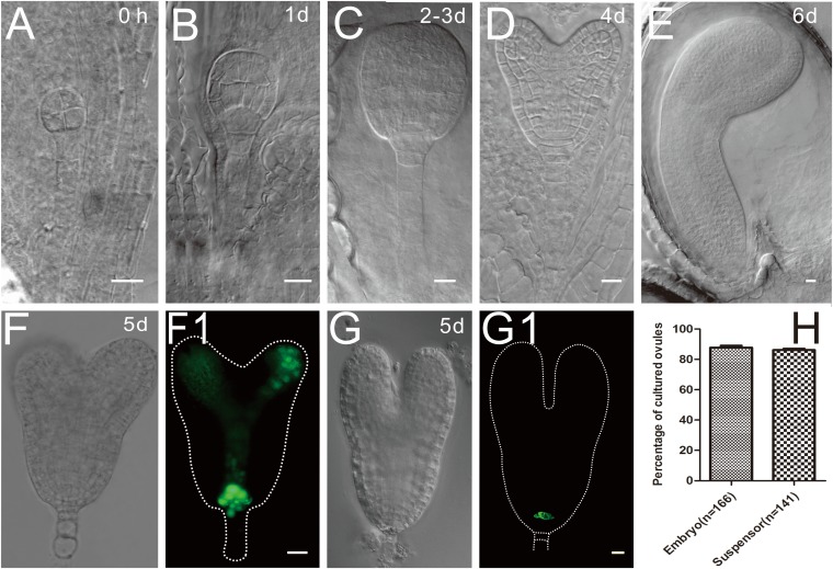 Fig. S3.