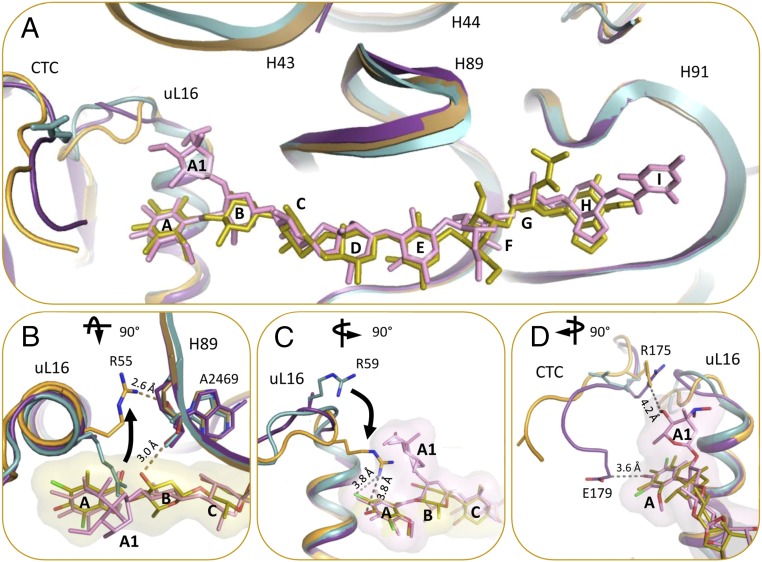 Fig. 4.