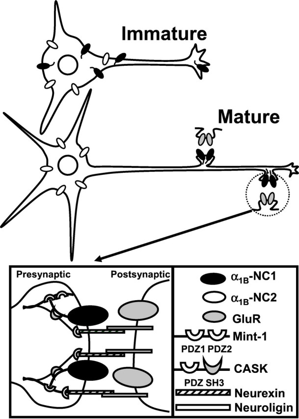 Fig. 8.