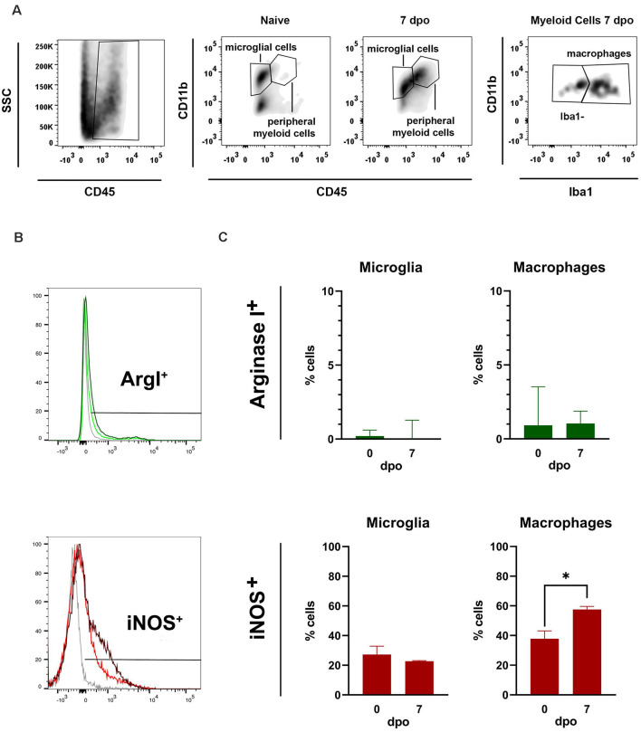 Figure 9