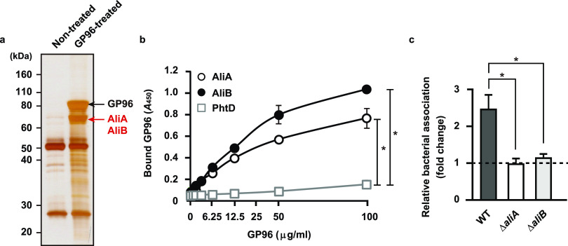 FIG 2