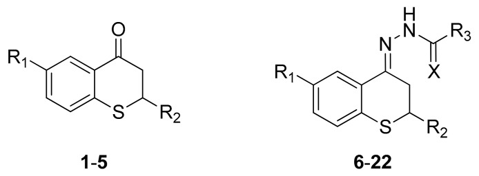 Scheme 2