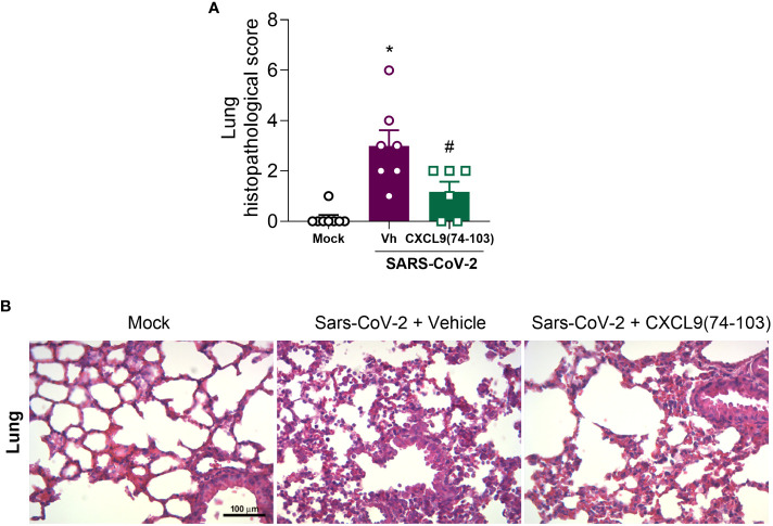 Figure 5