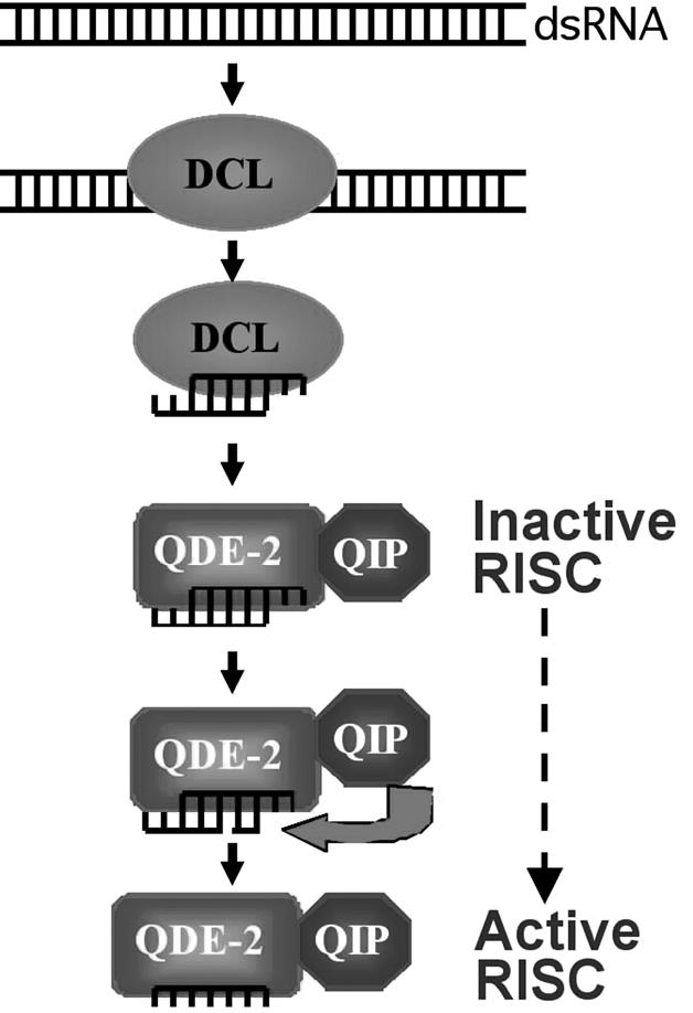 Figure 7.