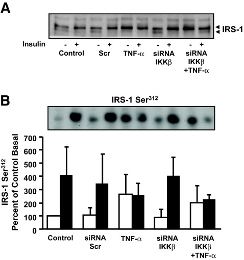 FIG. 8.