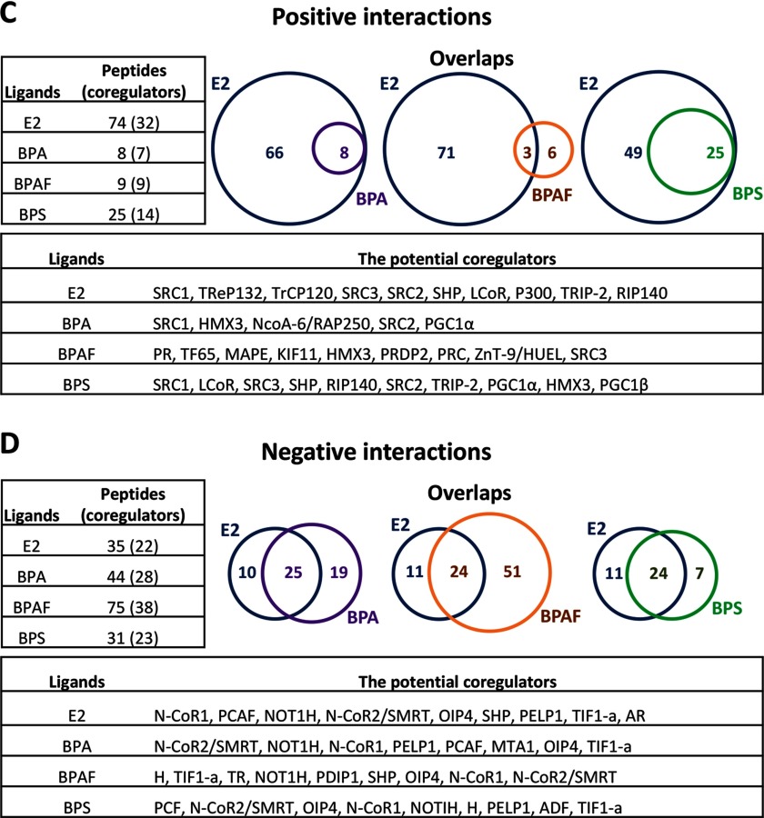 Figure 2A is a heatmap plotting bisphenol chemicals BPS, BPA, BPAF, and E2 (y-axis) across 154 coregulator-derived binding peptides (x-axis) for the modulation index. Figure 2B is modulation index (y-axis) with 154 coregulator-derived binding peptides (x-axis) for the E2, BPA, BPAF, and BPS. Figures 2C and 2D are Venn diagrams with tabular representations showing the positive and negative interactions, respectively.