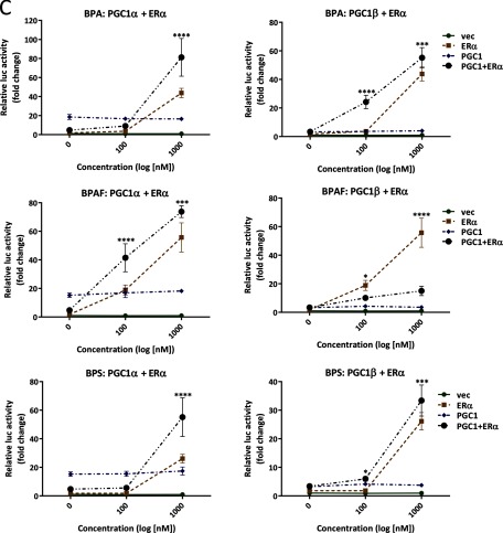 Figure 3A shows two bar graphs with standard error of the mean plotting relative luc activity (fold change) (y-axis) for treated with VEC, ER alpha, SRC1, SRC1 plus ER alpha, SRC2, SRC2 plus ER alpha, SRC3, SRC3 plus ER alpha (x-axis) for controls and E2 10 for SRCs plus ER alpha and PGC1s plus ER alpha in the presence of E2, respectively. Figure 3b comprises nine line graphs plotting relative luc activity (fold change) (y-axis) across concentration (log[nanomolar]) (x-axis) in vec, ER alpha, SRC, SRC plus ER alpha for BPA: SRC1 plus ER alpha; BPA: SRC2 plus ER alpha; BPA: SRC3 plus ER alpha; BPAF: SRC1 plus ER alpha; BPAF: SRC2 plus ER alpha; BPAF: SRC3 plus ER alpha; BPS: SRC1 plus ER alpha; BPS: SRC2 plus ER alpha; and BPS: SRC3 plus ER alpha, respectively. Figure 3C comprises six line graphs plotting relative luc activity (fold change) (y-axis) across concentration (log[nanomolar]) (x-axis) in vec, ER alpha, PGC1, and PG1 plus ER alpha for BPA: PGC1 alpha plus ER alpha; BPA: PGC1 beta plus ER alpha; BPAF: PGC1 alpha plus ER alpha; BPAF: PGC1 beta plus ER alpha; BPS: PGC1 alpha plus ER alpha; and BPS: PGC1 beta plus ER alpha, respectively.