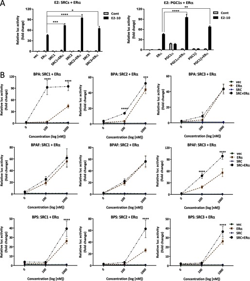 Figure 3A shows two bar graphs with standard error of the mean plotting relative luc activity (fold change) (y-axis) for treated with VEC, ER alpha, SRC1, SRC1 plus ER alpha, SRC2, SRC2 plus ER alpha, SRC3, SRC3 plus ER alpha (x-axis) for controls and E2 10 for SRCs plus ER alpha and PGC1s plus ER alpha in the presence of E2, respectively. Figure 3b comprises nine line graphs plotting relative luc activity (fold change) (y-axis) across concentration (log[nanomolar]) (x-axis) in vec, ER alpha, SRC, SRC plus ER alpha for BPA: SRC1 plus ER alpha; BPA: SRC2 plus ER alpha; BPA: SRC3 plus ER alpha; BPAF: SRC1 plus ER alpha; BPAF: SRC2 plus ER alpha; BPAF: SRC3 plus ER alpha; BPS: SRC1 plus ER alpha; BPS: SRC2 plus ER alpha; and BPS: SRC3 plus ER alpha, respectively. Figure 3C comprises six line graphs plotting relative luc activity (fold change) (y-axis) across concentration (log[nanomolar]) (x-axis) in vec, ER alpha, PGC1, and PG1 plus ER alpha for BPA: PGC1 alpha plus ER alpha; BPA: PGC1 beta plus ER alpha; BPAF: PGC1 alpha plus ER alpha; BPAF: PGC1 beta plus ER alpha; BPS: PGC1 alpha plus ER alpha; and BPS: PGC1 beta plus ER alpha, respectively.