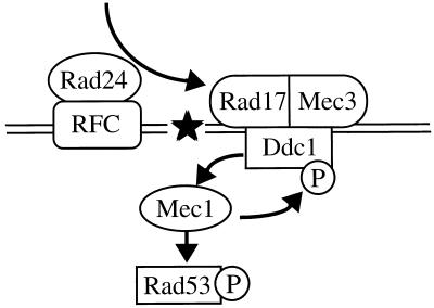 FIG. 10