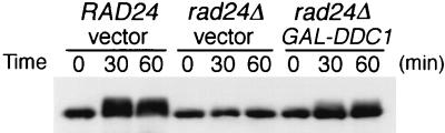 FIG. 9