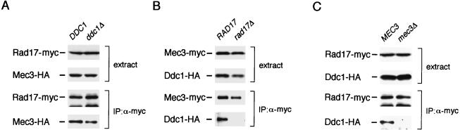 FIG. 6