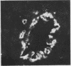361