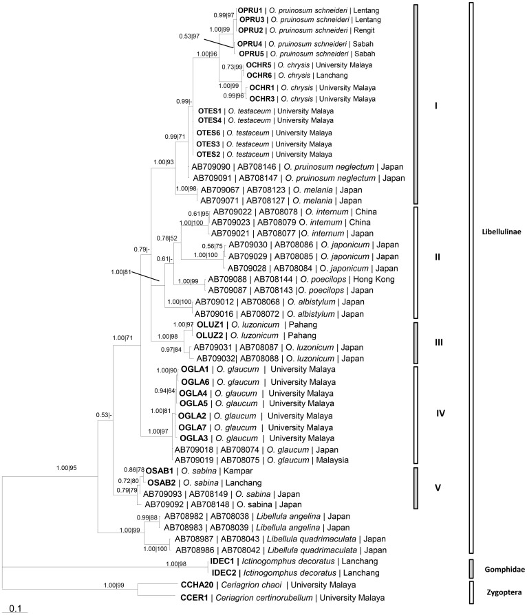 Figure 5