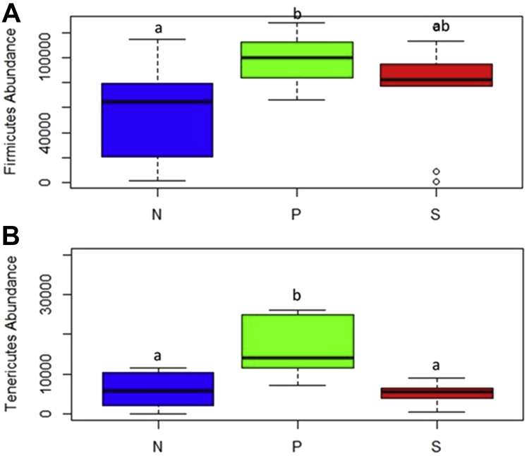 Figure 11