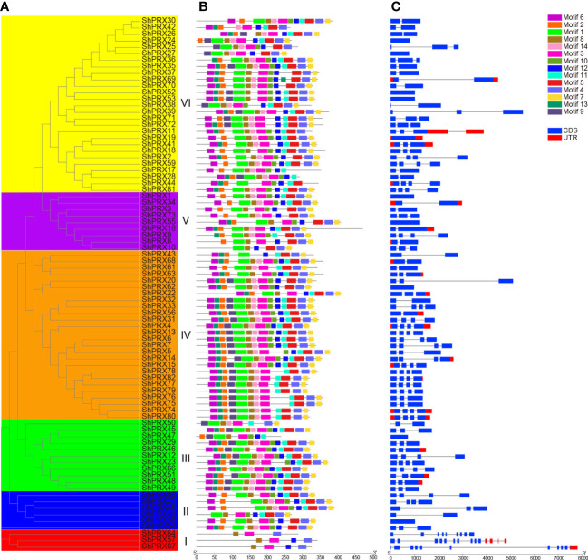 Figure 3