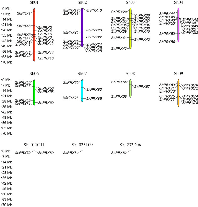 Figure 1