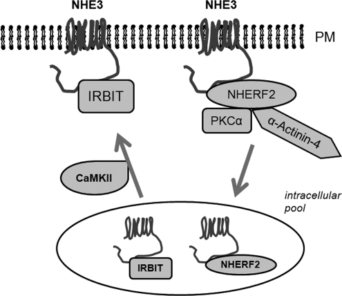 FIGURE 12.