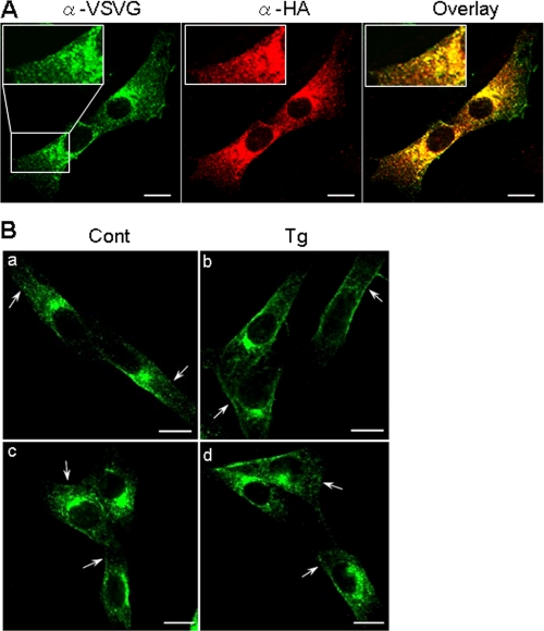 FIGURE 10.