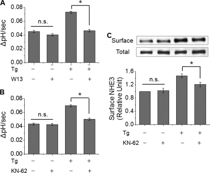 FIGURE 11.