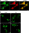 FIGURE 10.