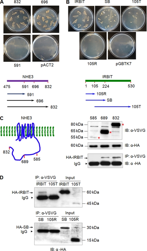 FIGURE 2.