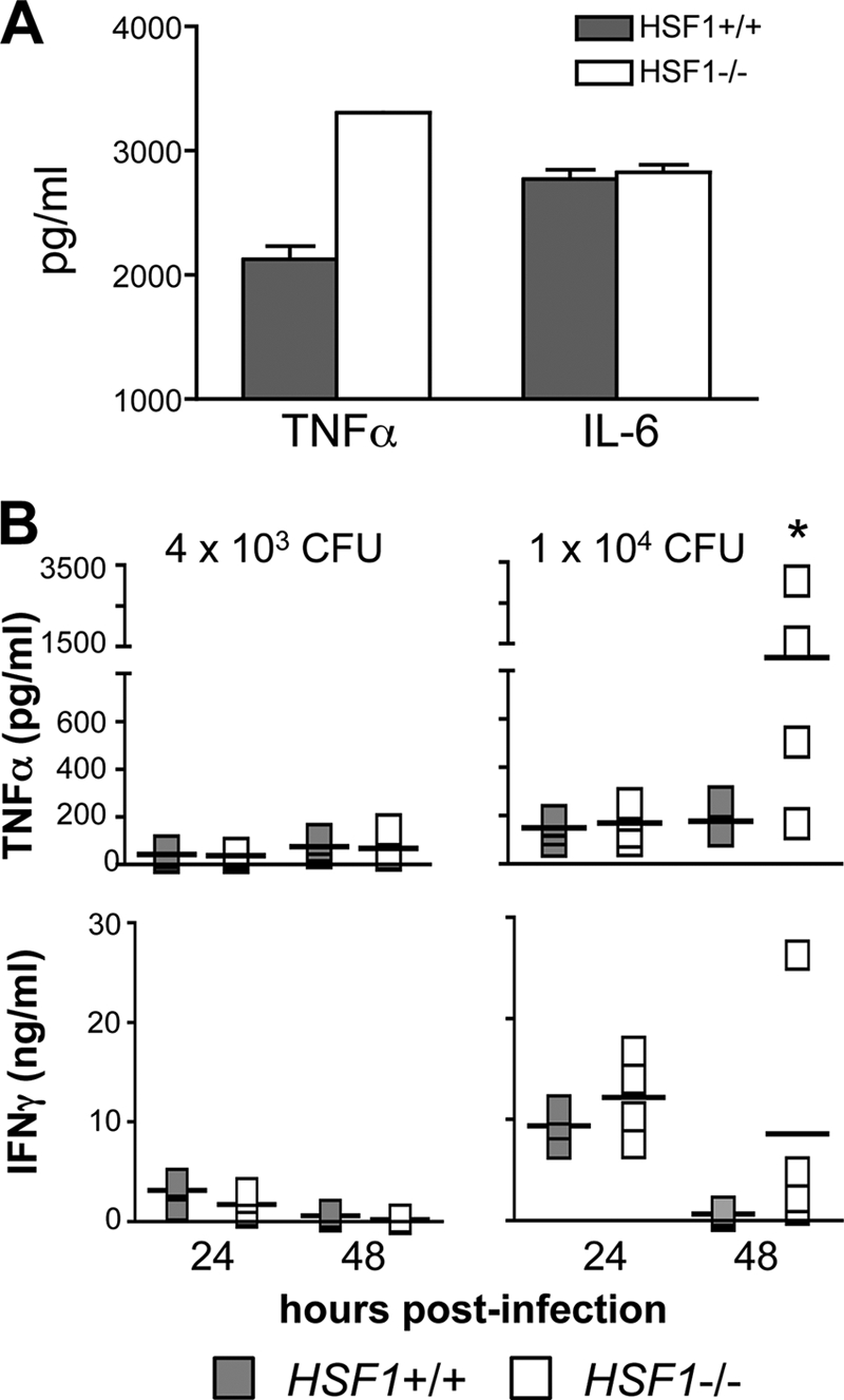 FIG. 5.