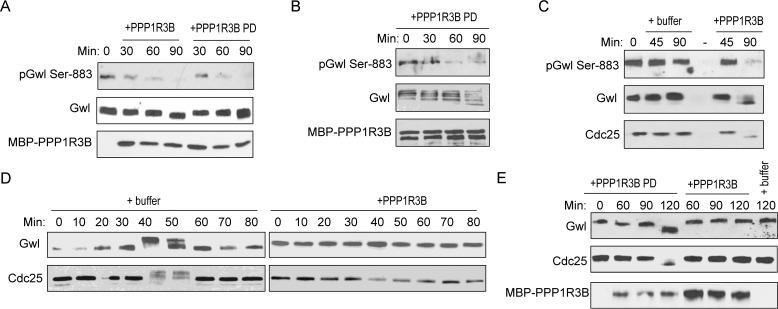 Figure 6.