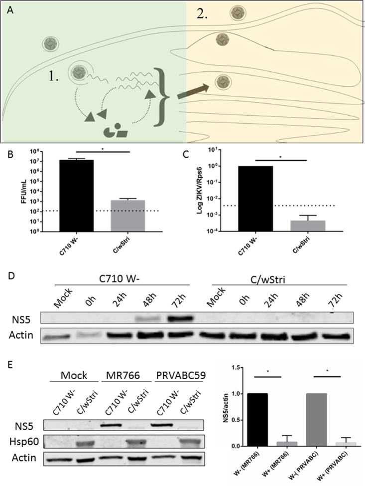 FIG 4