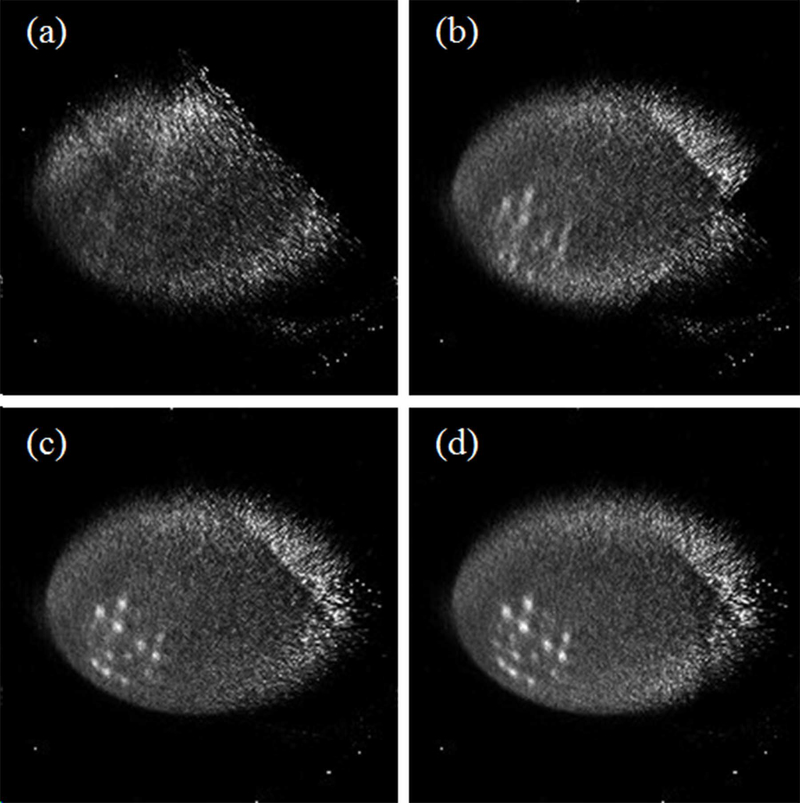 Figure 11.