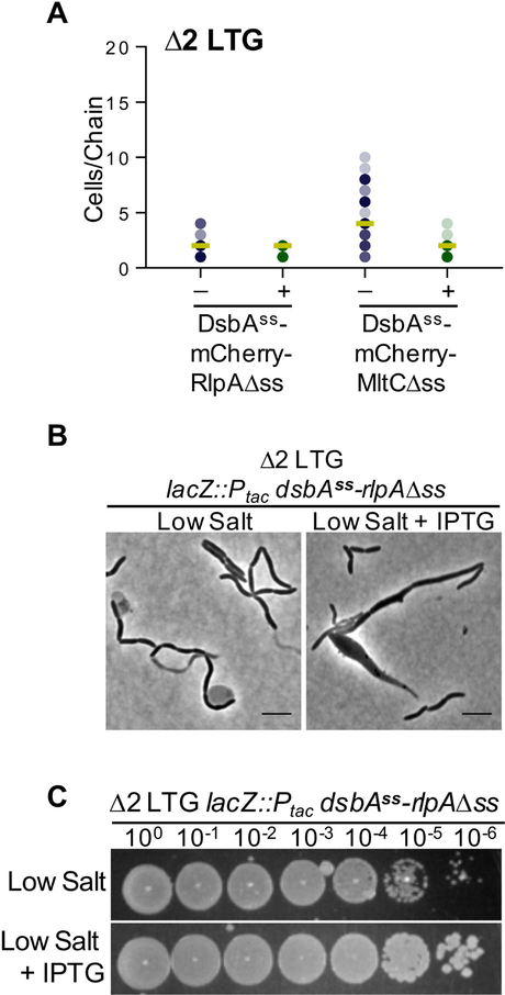 Fig 7.