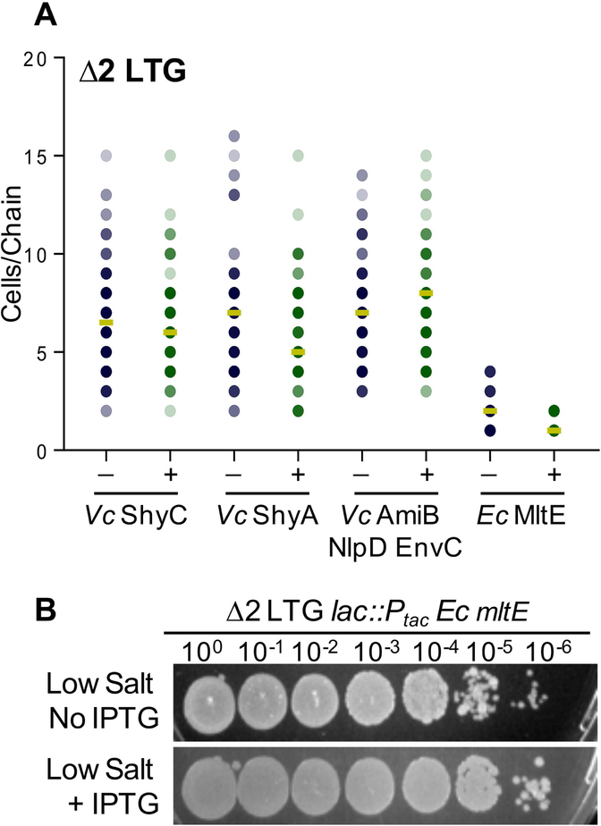 Fig 5.