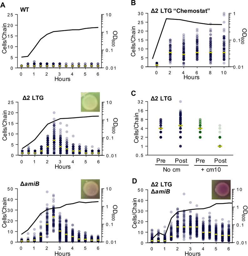 Fig 4.