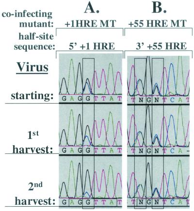 FIG. 6.