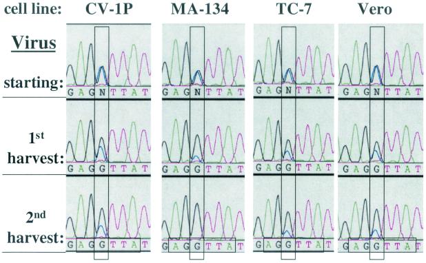 FIG. 7.