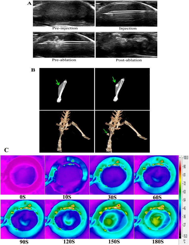 Fig 6