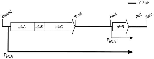 FIG. 5