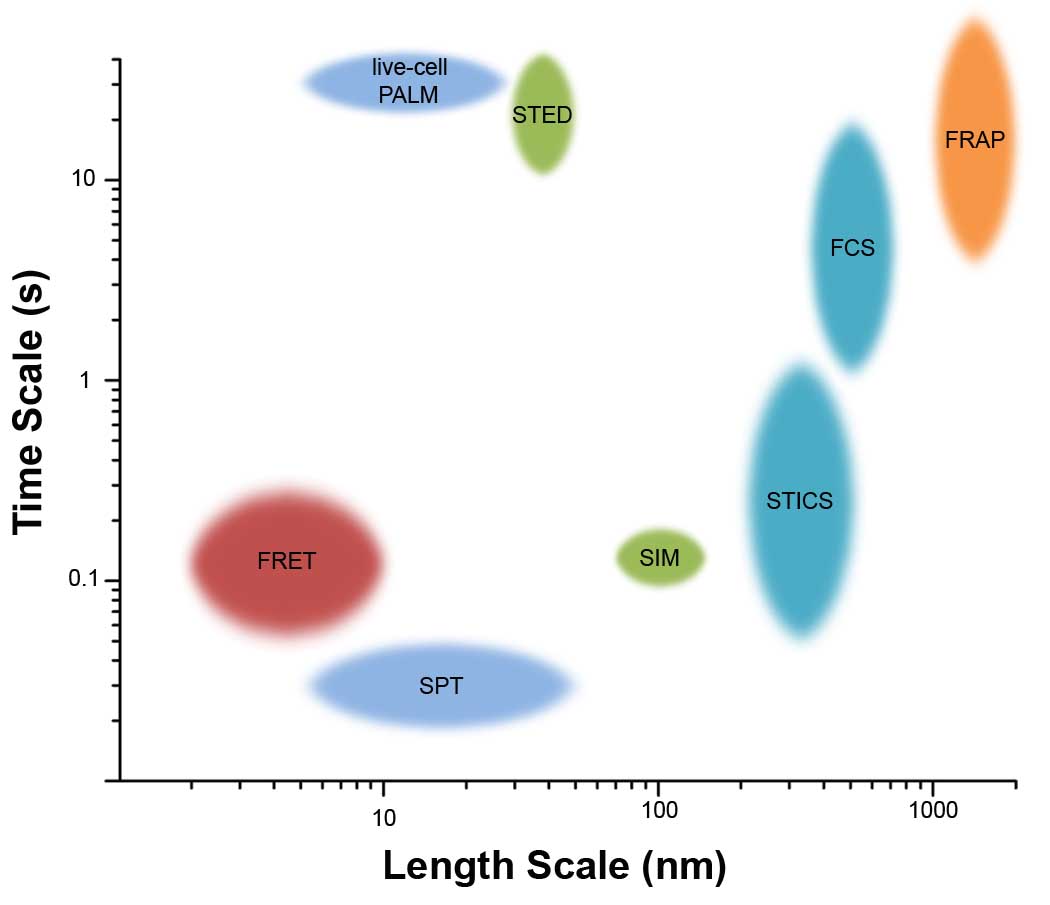 Box 1 Figure 1