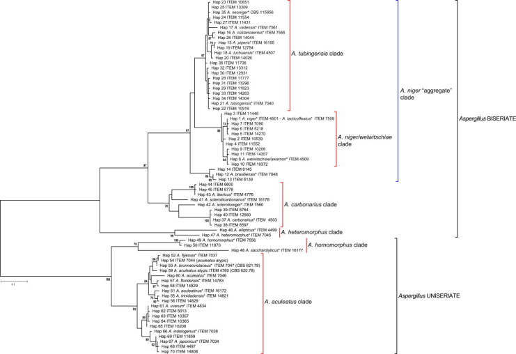 Fig. 3