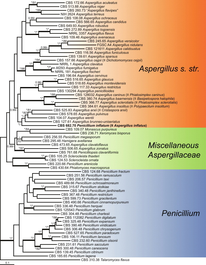 Fig. 4