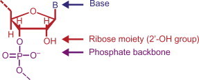 Figure 7.5