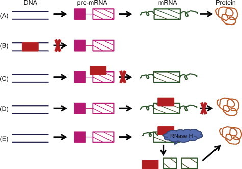 Figure 7.3