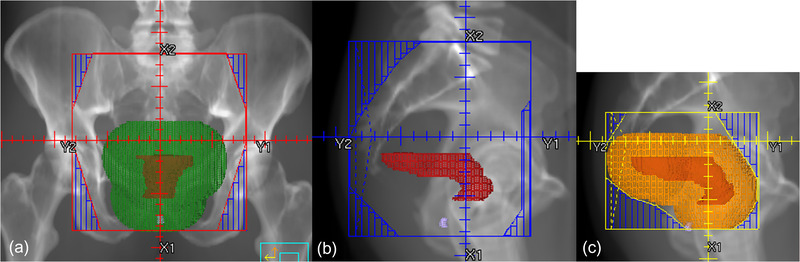 FIGURE 1